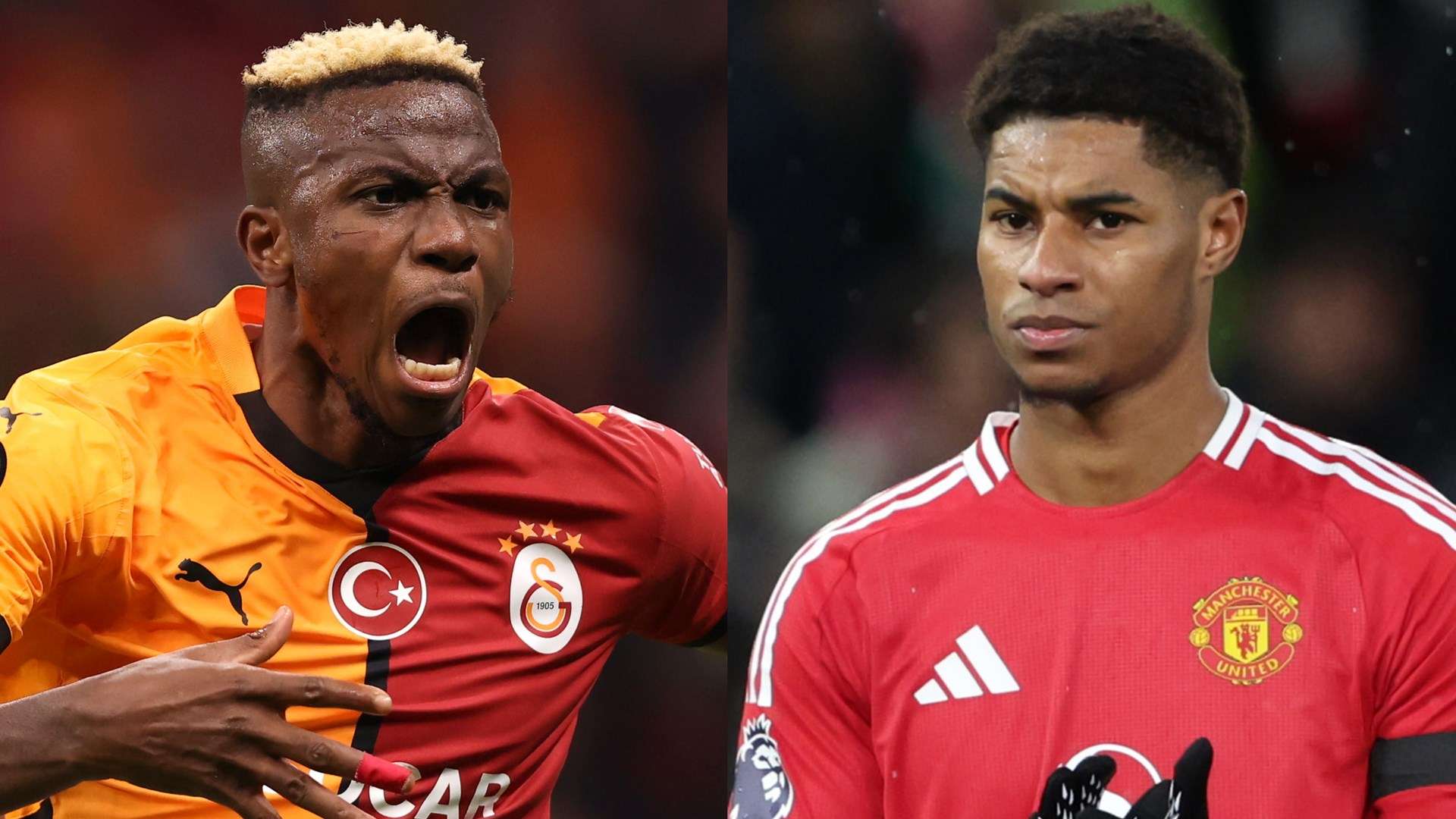 他未来的比 他未来的比