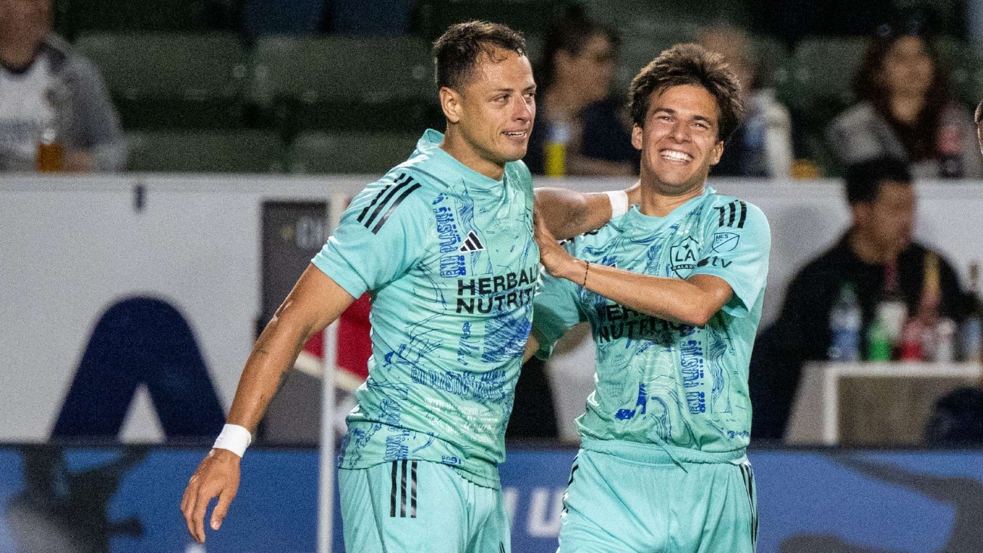 勇气和追求 勇气和追求