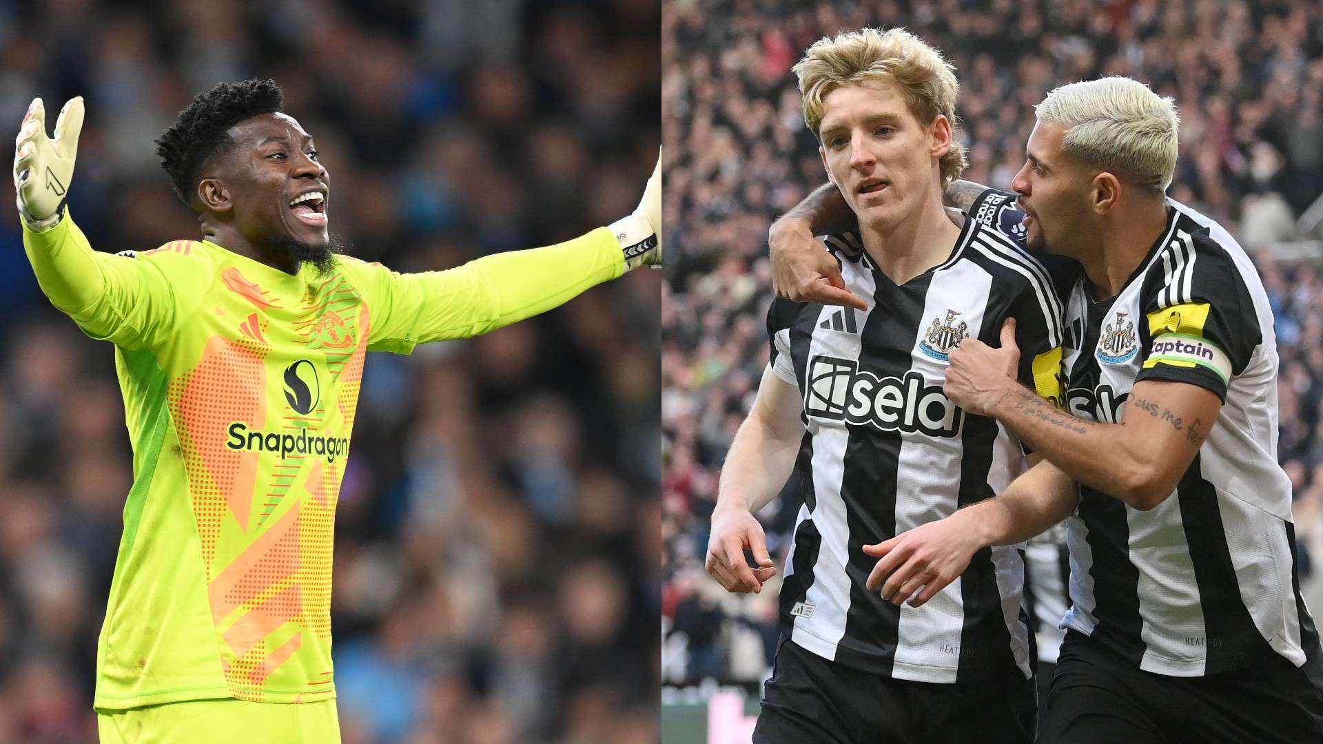 它更是对球 它更是对球